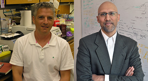 (L) JOSEPH T. BASS, MD, PHD, CHARLES F. KETTERING PROFESSOR OF MEDICINE AND CHIEF OF ENDOCRINOLOGY, AND (R) RAVI ALLADA, MD, CHAIR AND PROFESSOR OF NEUROBIOLOGY AT THE WEINBERG COLLEGE OF ARTS AND SCIENCES AND ASSOCIATE DIRECTOR OF THE CENTER FOR SLEEP AND CIRCADIAN BIOLOGY.
