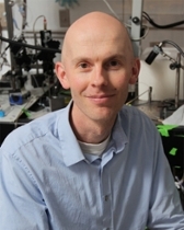 Nathaniel B. Sawtell, PhD | Columbia University