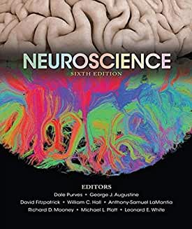 Cover-of-book-Neuroscience-Sixth-edition-edited-by-Dale-Purves,etal